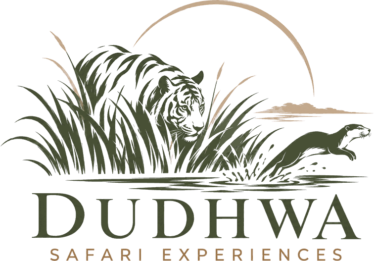 Dudhwa Safari Experiences logo: a tiger in tall grass and an otter leaping from the water beneath a rising sun
