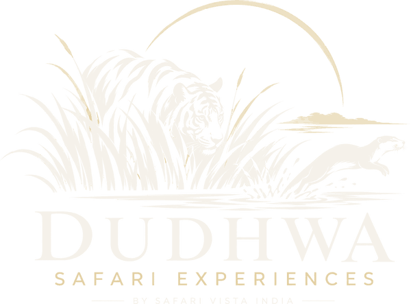 Dudhwa Safari Experiences, by Safari Vista India